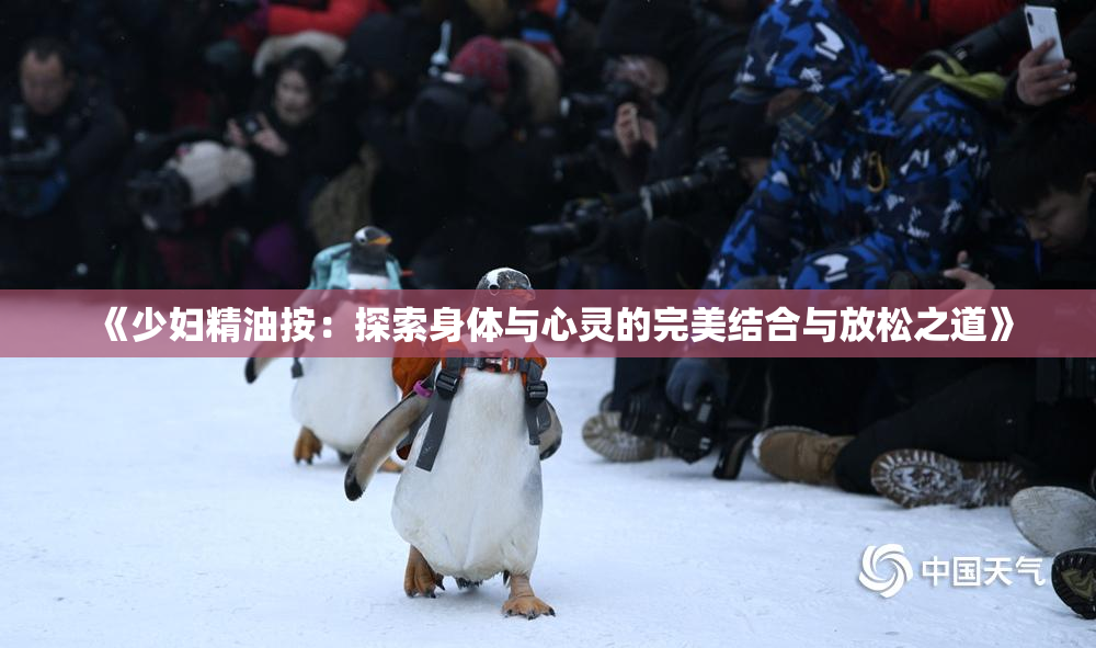 《少妇精油按：探索身体与心灵的完美结合与放松之道》