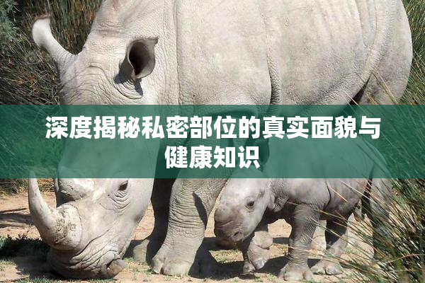 深度揭秘私密部位的真实面貌与健康知识