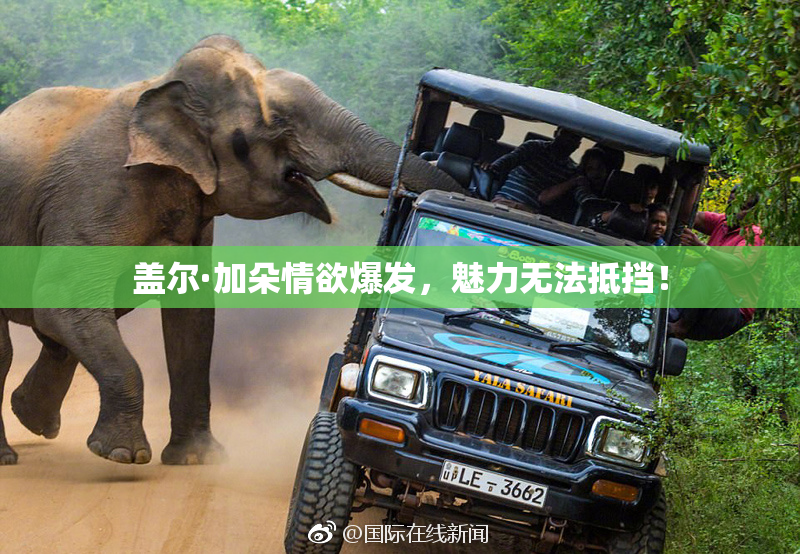 盖尔·加朵情欲爆发，魅力无法抵挡！