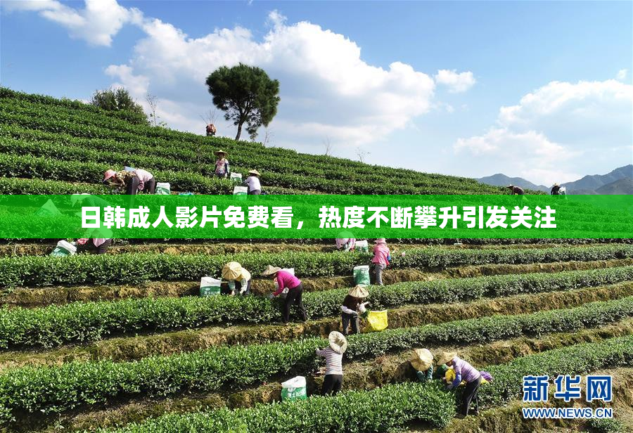 日韩成人影片免费看，热度不断攀升引发关注