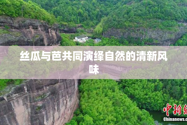 丝瓜与芭共同演绎自然的清新风味