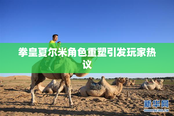 拳皇夏尔米角色重塑引发玩家热议