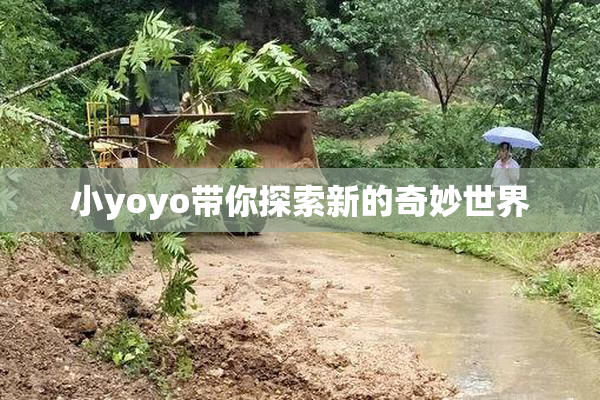 小yoyo带你探索新的奇妙世界