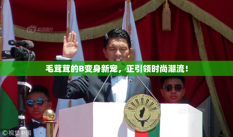 毛茸茸的B变身新宠，正引领时尚潮流！