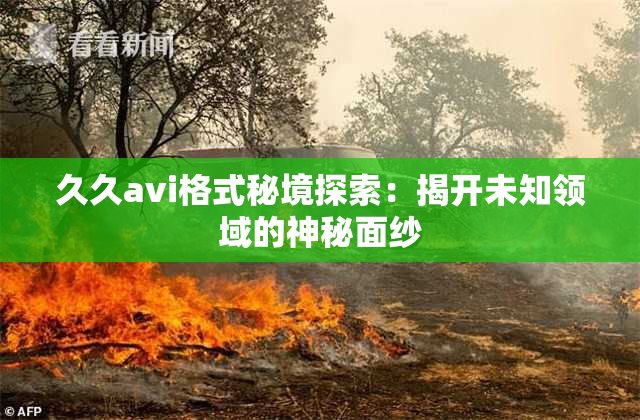 久久avi格式秘境探索：揭开未知领域的神秘面纱