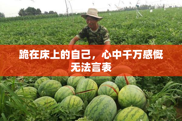跪在床上的自己，心中千万感慨无法言表