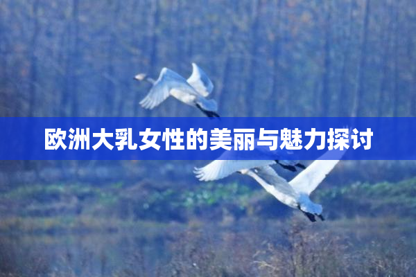 欧洲大乳女性的美丽与魅力探讨