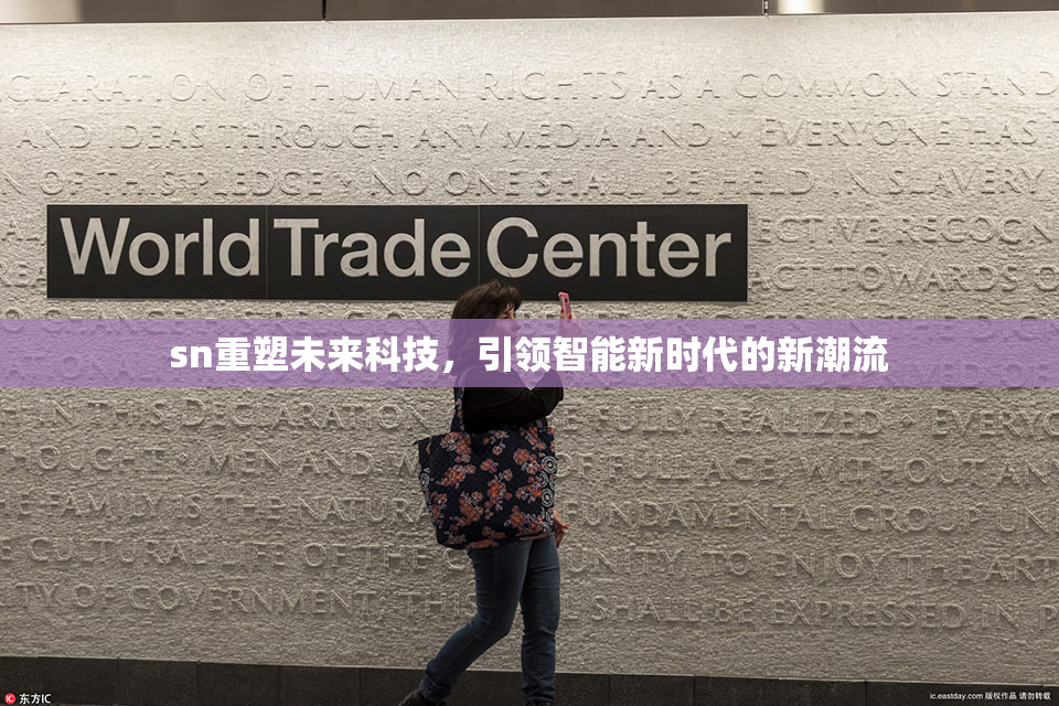 sn重塑未来科技，引领智能新时代的新潮流