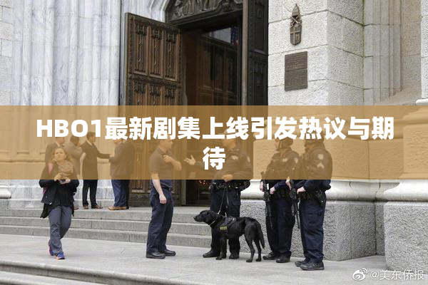 HBO1最新剧集上线引发热议与期待