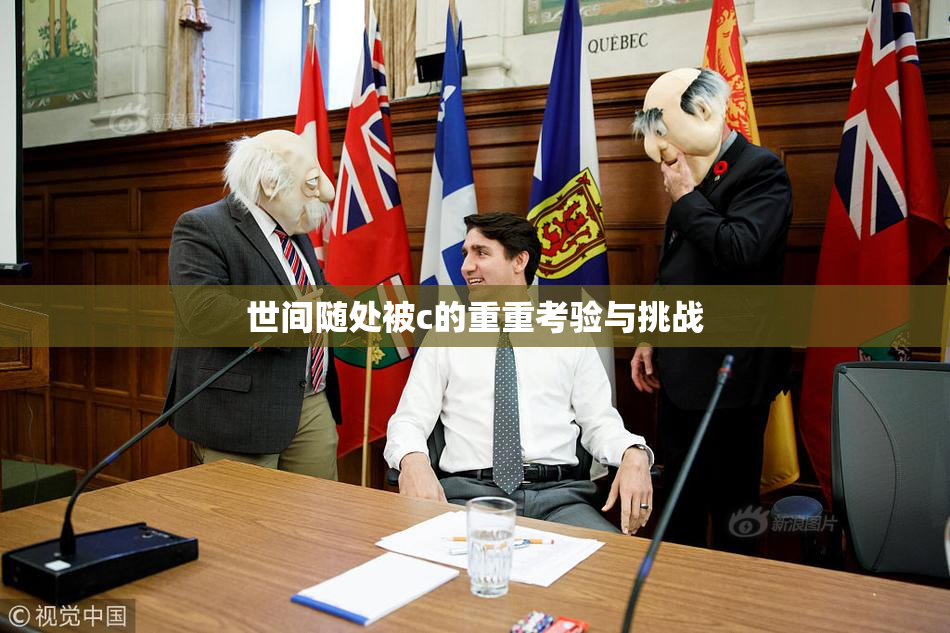世间随处被c的重重考验与挑战