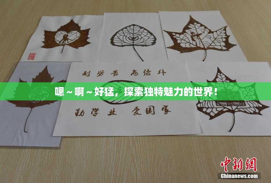 嗯～啊～好猛，探索独特魅力的世界！