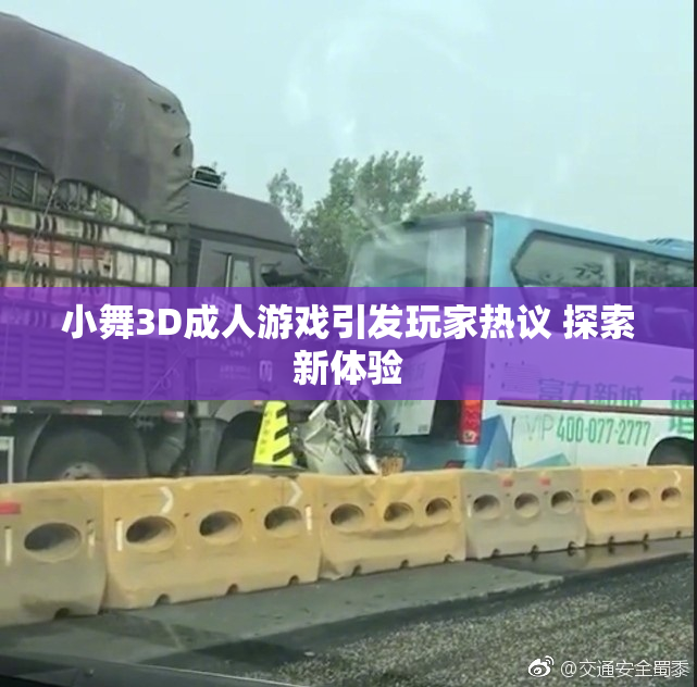 小舞3D成人游戏引发玩家热议 探索新体验
