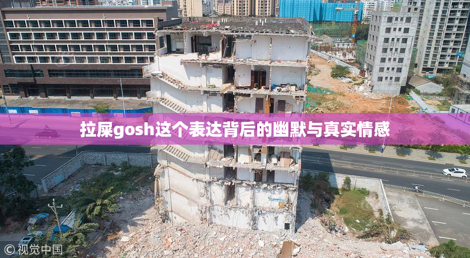 拉屎gosh这个表达背后的幽默与真实情感