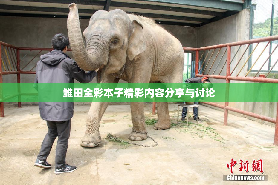 雏田全彩本子精彩内容分享与讨论