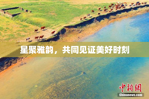 星聚雅韵，共同见证美好时刻