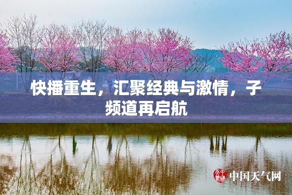 快播重生，汇聚经典与激情，子频道再启航