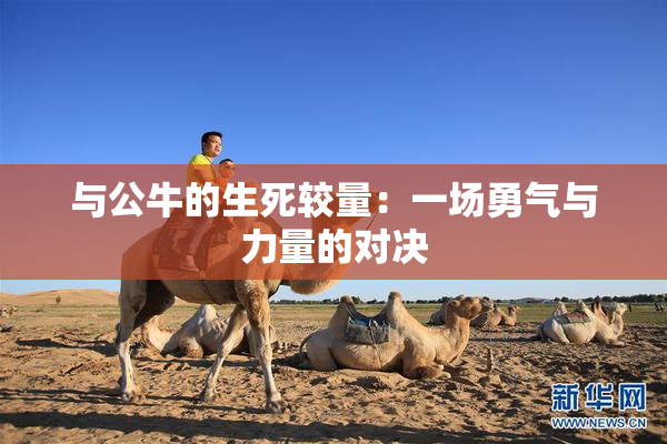 与公牛的生死较量：一场勇气与力量的对决