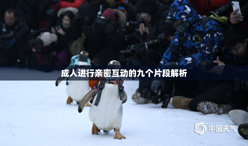 成人进行亲密互动的九个片段解析