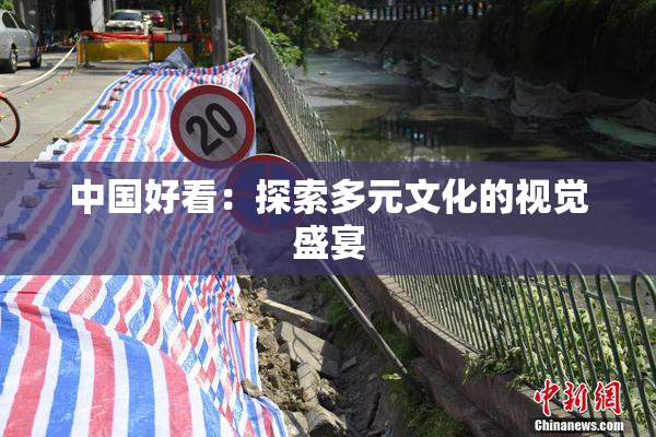 中国好看：探索多元文化的视觉盛宴