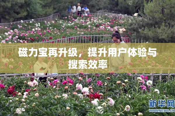 磁力宝再升级，提升用户体验与搜索效率