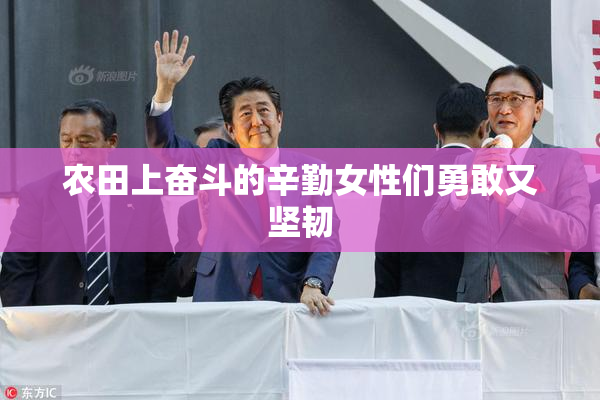 农田上奋斗的辛勤女性们勇敢又坚韧