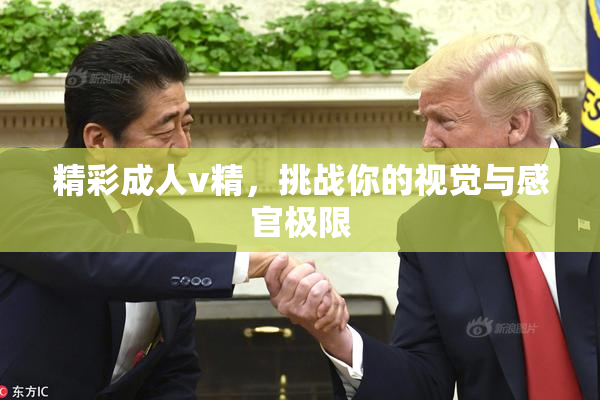 精彩成人v精，挑战你的视觉与感官极限