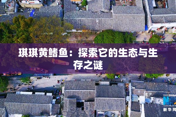 琪琪黄鳍鱼：探索它的生态与生存之谜