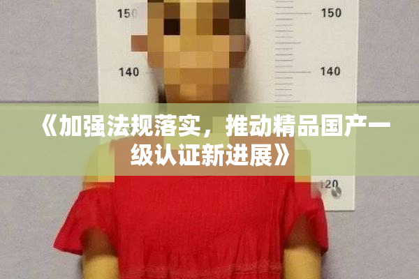 《加强法规落实，推动精品国产一级认证新进展》