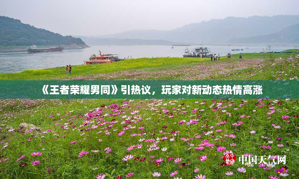 《王者荣耀男同》引热议，玩家对新动态热情高涨