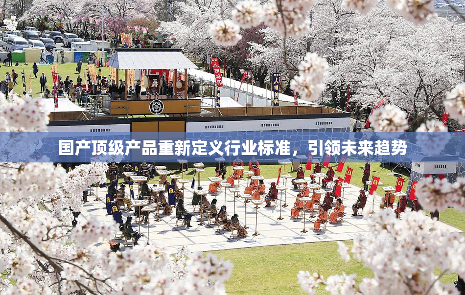 国产顶级产品重新定义行业标准，引领未来趋势