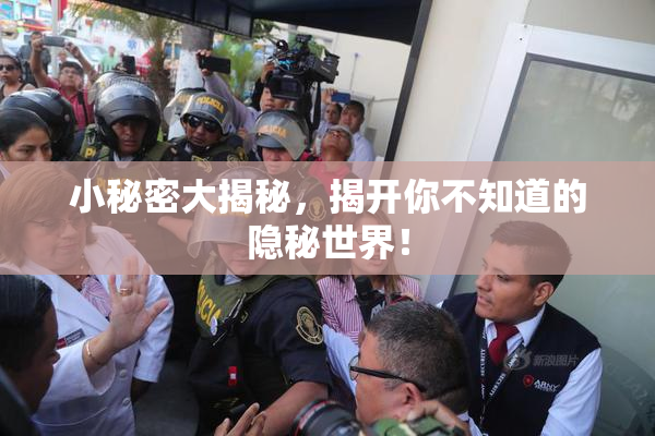 小秘密大揭秘，揭开你不知道的隐秘世界！
