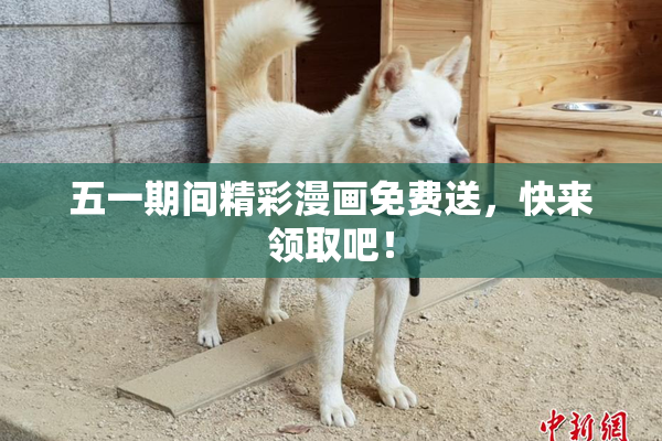 五一期间精彩漫画免费送，快来领取吧！
