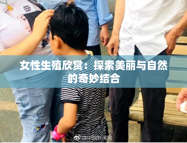 女性生殖欣赏：探索美丽与自然的奇妙结合