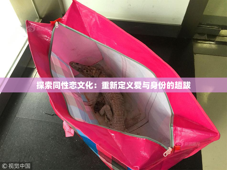 探索同性恋文化：重新定义爱与身份的趟跋