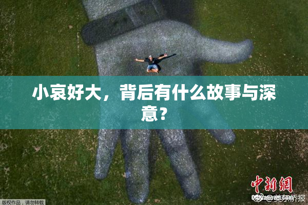小哀好大，背后有什么故事与深意？