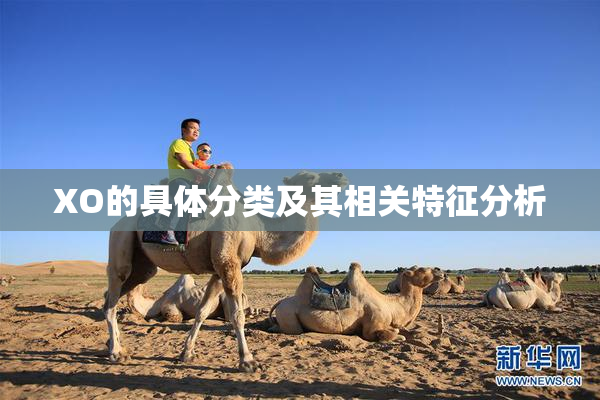 XO的具体分类及其相关特征分析