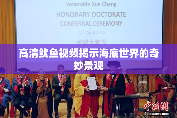 高清鱿鱼视频揭示海底世界的奇妙景观