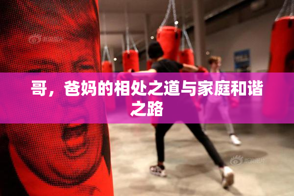 哥，爸妈的相处之道与家庭和谐之路