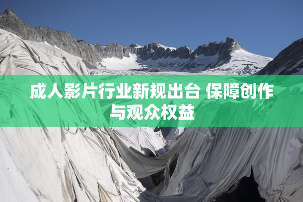 成人影片行业新规出台 保障创作与观众权益
