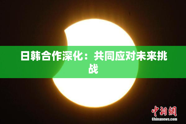 日韩合作深化：共同应对未来挑战