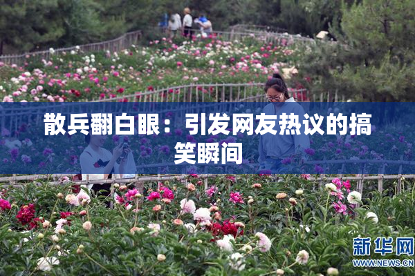 散兵翻白眼：引发网友热议的搞笑瞬间