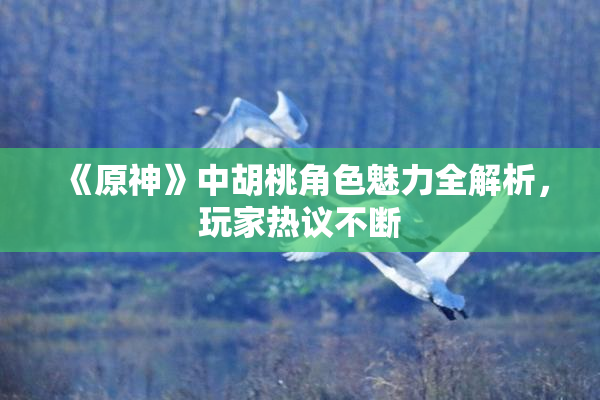 《原神》中胡桃角色魅力全解析，玩家热议不断
