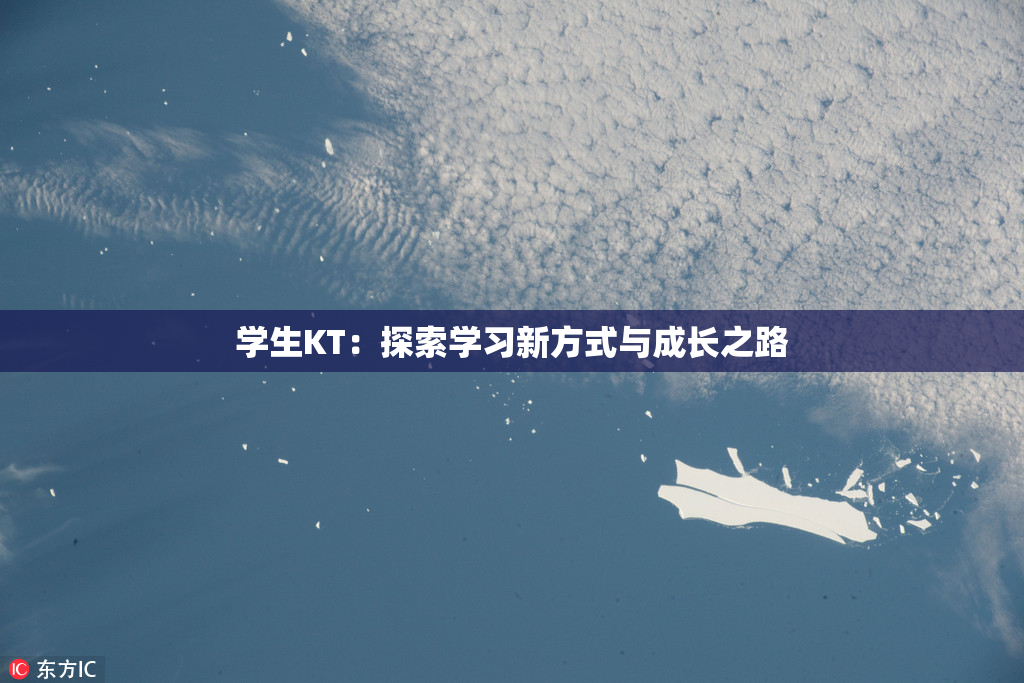 学生KT：探索学习新方式与成长之路