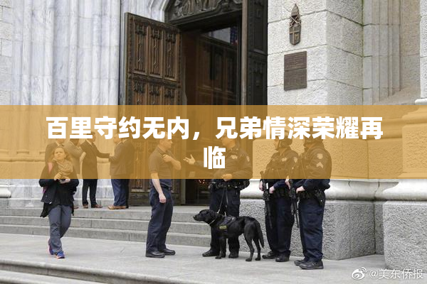 百里守约无内，兄弟情深荣耀再临