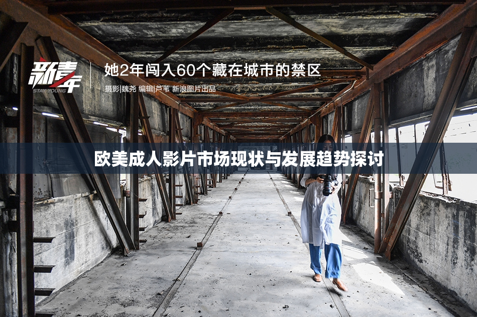 欧美成人影片市场现状与发展趋势探讨