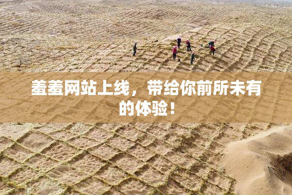 羞羞网站上线，带给你前所未有的体验！