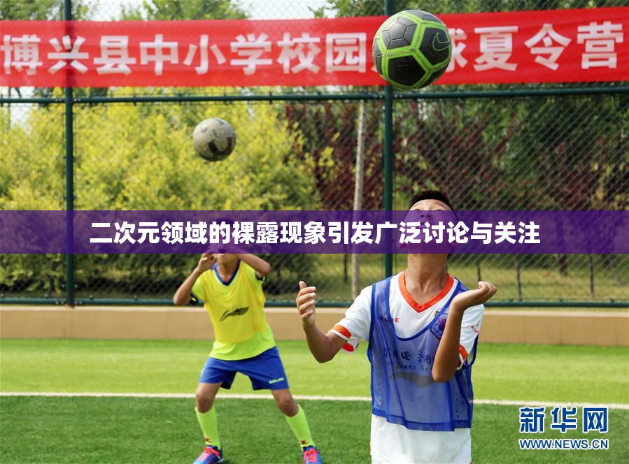 二次元领域的裸露现象引发广泛讨论与关注