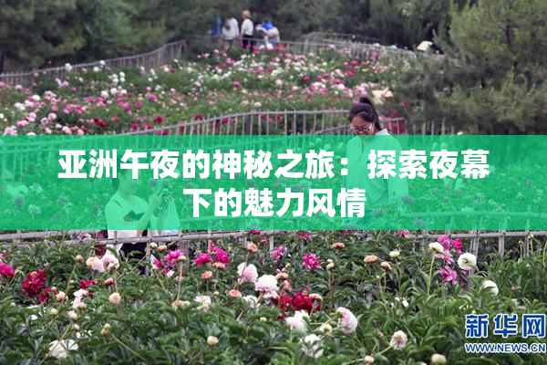 亚洲午夜的神秘之旅：探索夜幕下的魅力风情