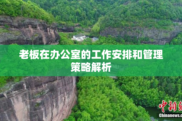 老板在办公室的工作安排和管理策略解析