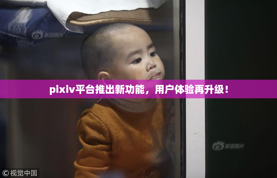 pixiv平台推出新功能，用户体验再升级！